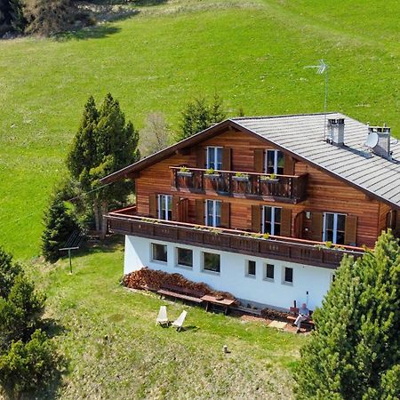 Panoramic Residence Schopplhof Фунес Экстерьер фото
