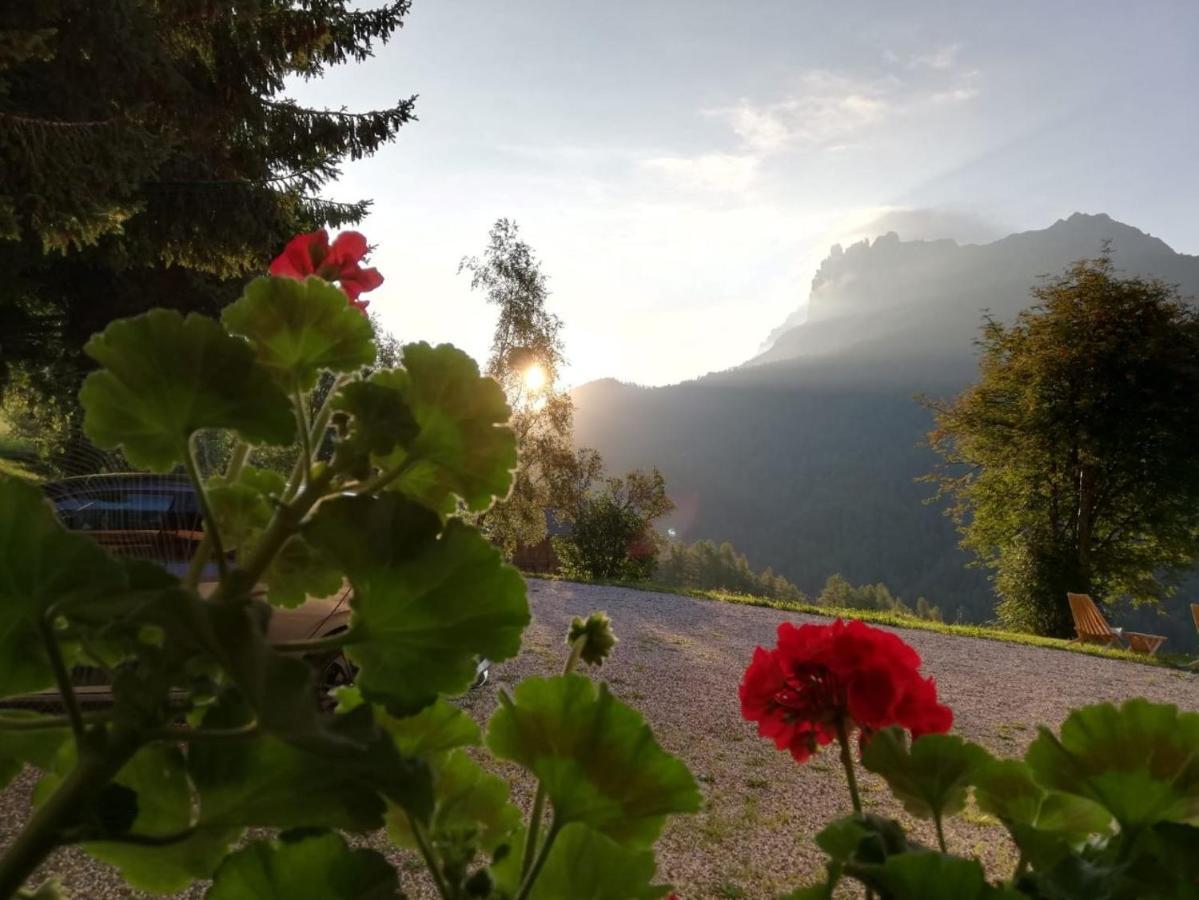 Panoramic Residence Schopplhof Фунес Экстерьер фото